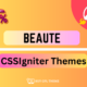 Beaute – WordPress Theme - WordPress Theme Beaute 2.0.5