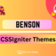 Benson – WordPress Theme - WordPress Theme Benson 1.1.1