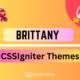 Brittany – WordPress Theme - WordPress Theme Brittany 2.2.4