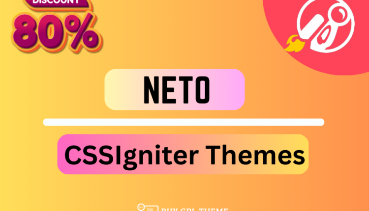 Neto - WordPress Theme