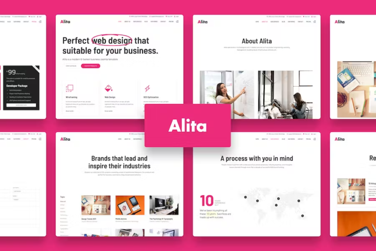 Alita – Web Studio WordPress Theme
