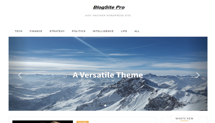 BlogSite Pro