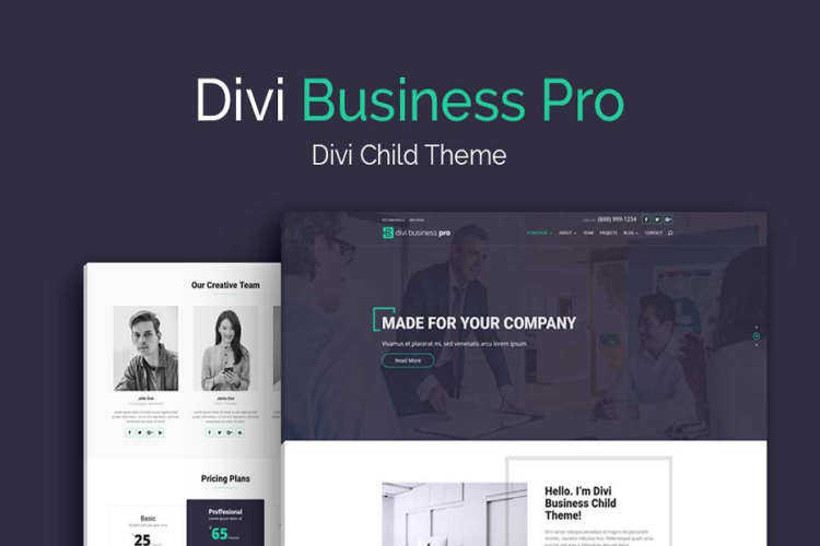 Divi Business Pro