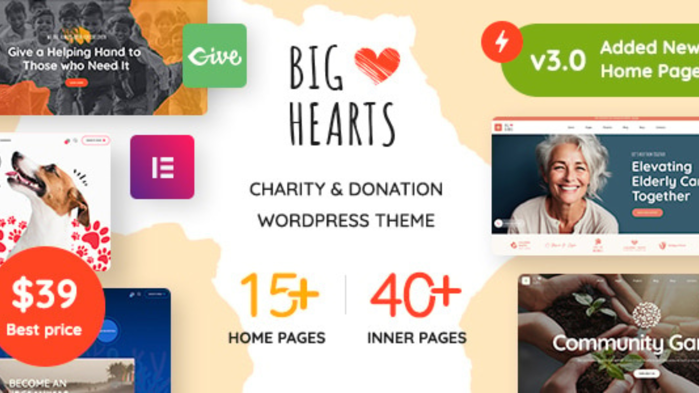 BigHearts – Charity & Donation WordPress Theme
