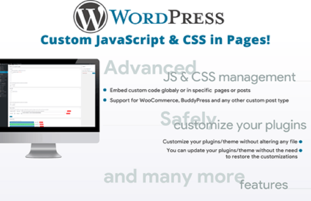 Custom JavaScript & CSS in Pages!