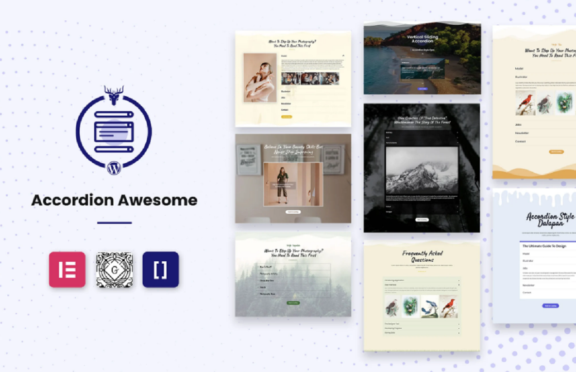 WordPress Accordion Plugin – Accordion Awesome Pro